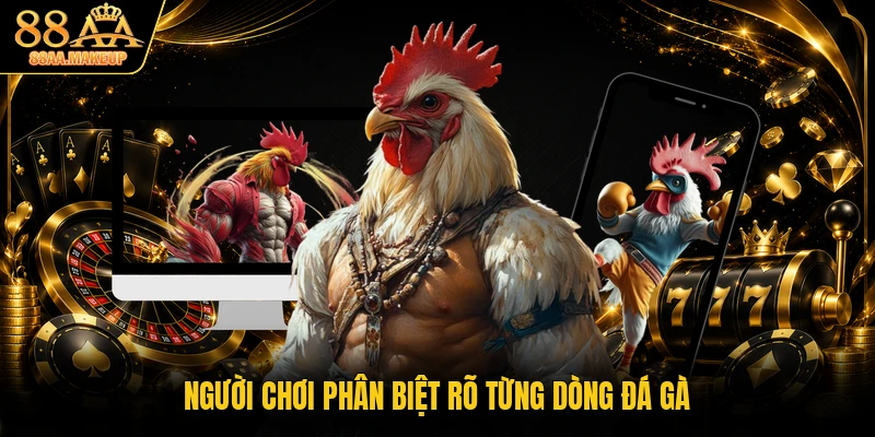 Người chơi phân biệt rõ từng dòng đá gà